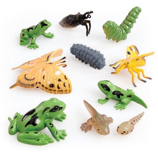 ELC Toys