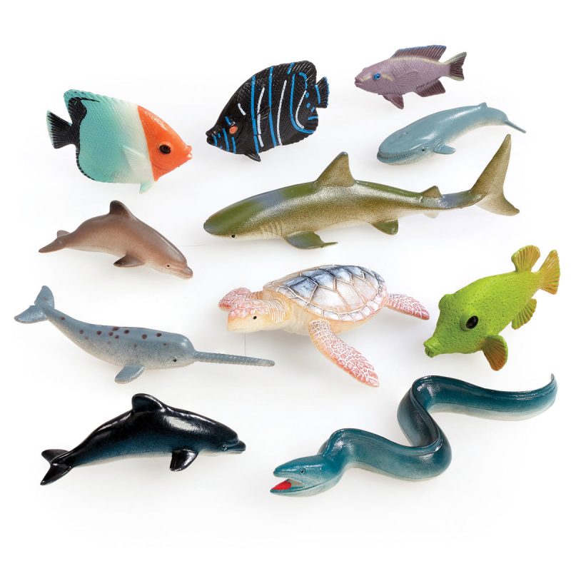 ELC Toys