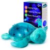 Tranquil Turtle - Aqua Rechargeable