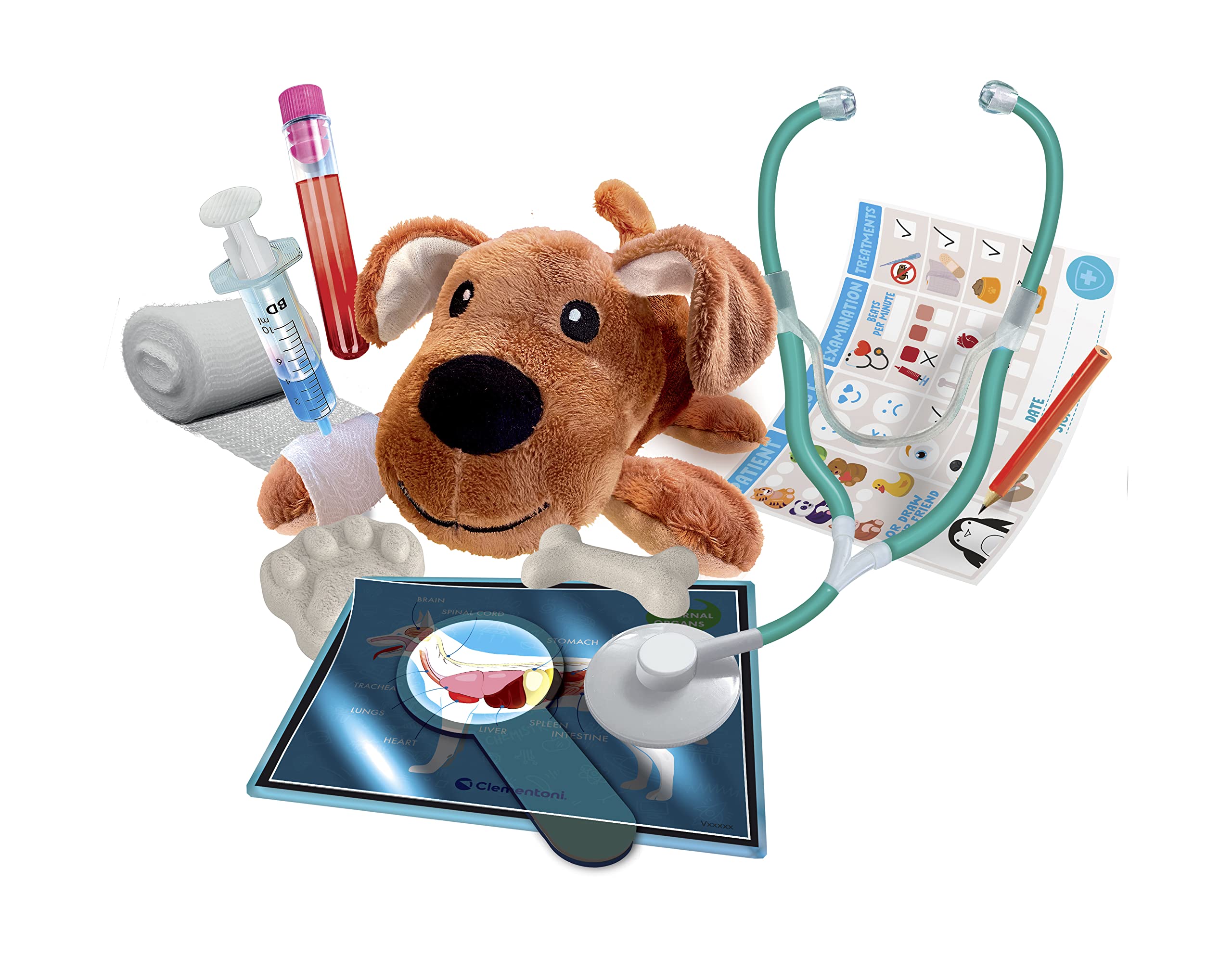 Vet Apprentices - Image 2