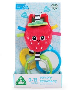Sensory Strawberry Travel Toy