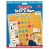 Magnetic Reward Star Chart