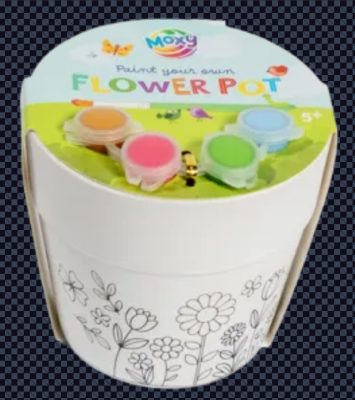 Paint Your Own Flower Pot