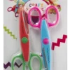 Craft Scissors